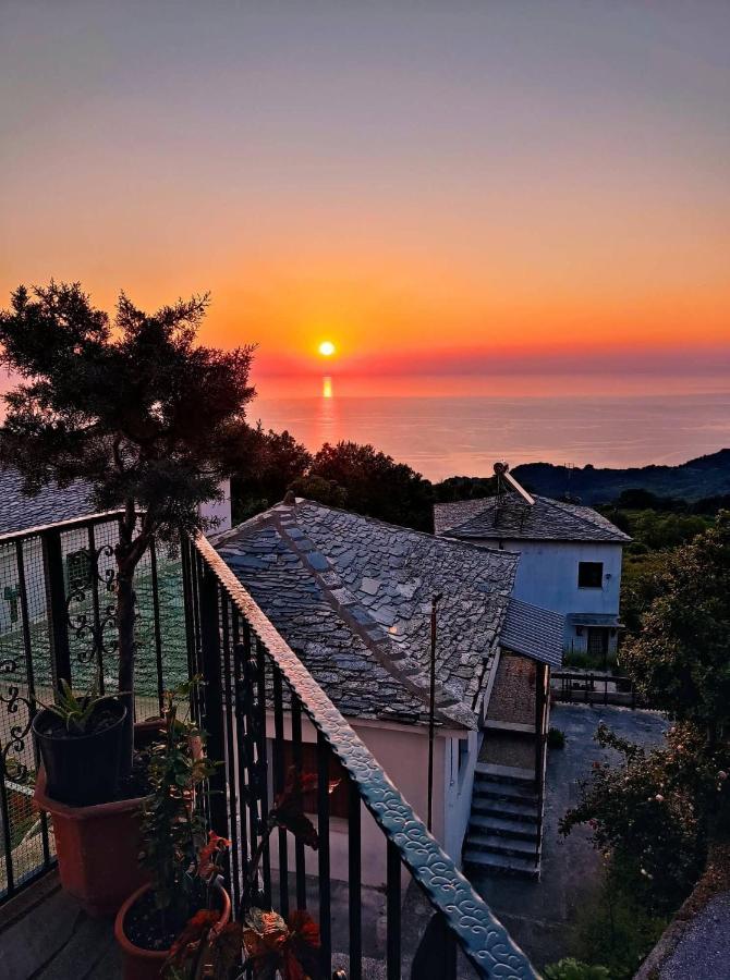 Guesthouse Papagiannopoulou Zagora Eksteriør billede