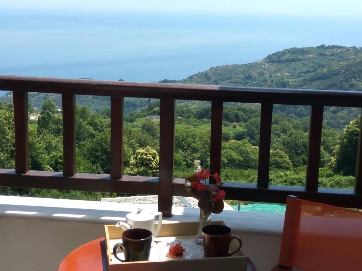 Guesthouse Papagiannopoulou Zagora Eksteriør billede