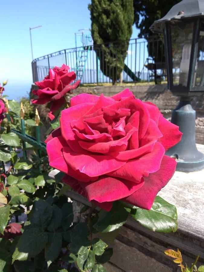 Guesthouse Papagiannopoulou Zagora Eksteriør billede