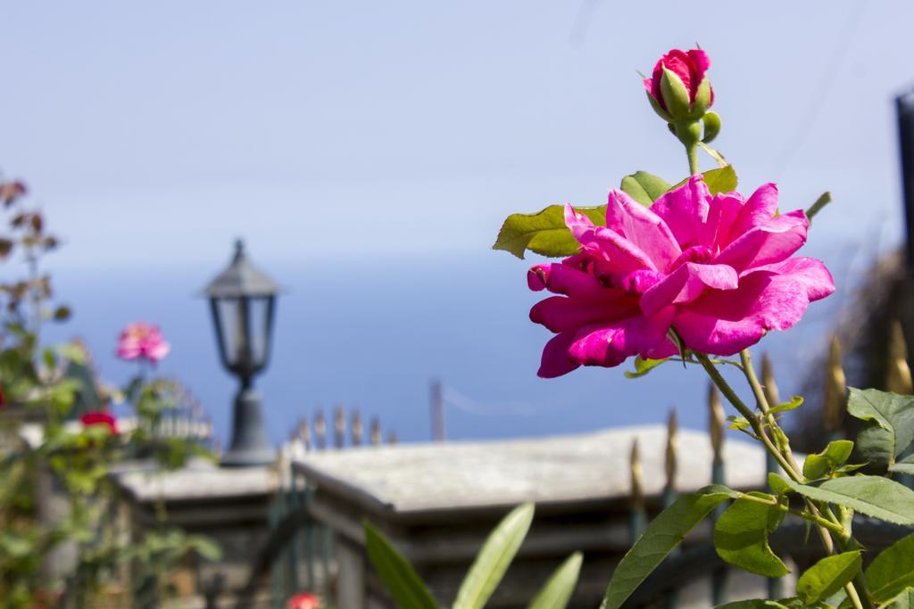 Guesthouse Papagiannopoulou Zagora Eksteriør billede