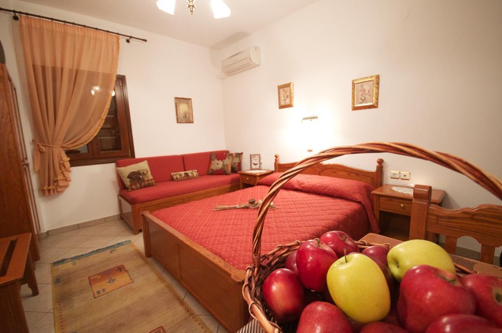 Guesthouse Papagiannopoulou Zagora Værelse billede